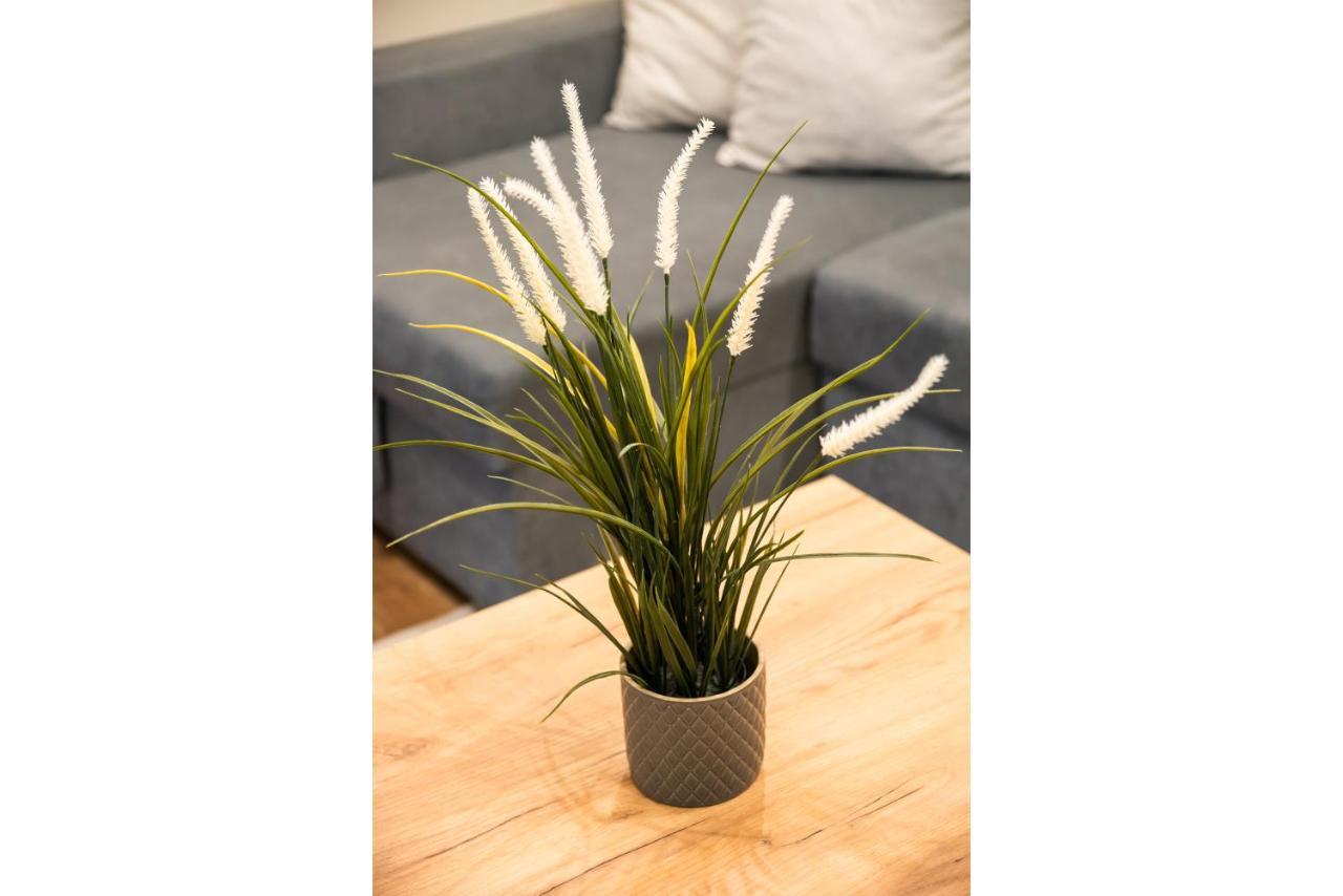 Old Town Market Place Penthouse 바르샤바 외부 사진